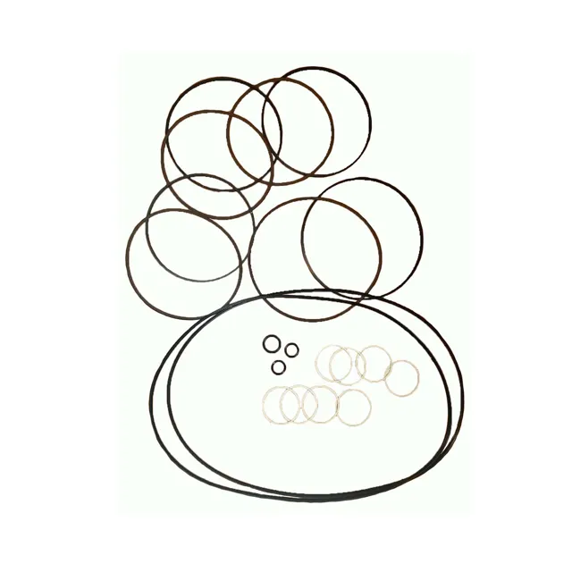 6676021 Seal Kit for Bobcat 863 873 A300 Single Speed Drive Motor