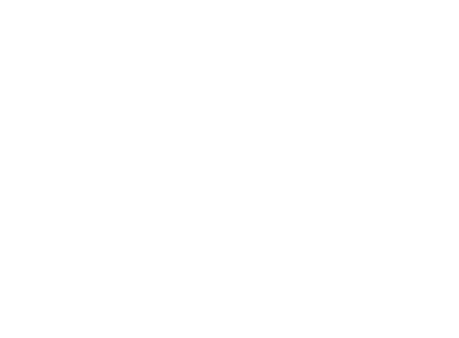 CarbonWizer