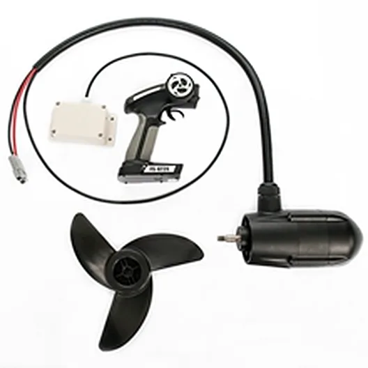 R Platform eMotor