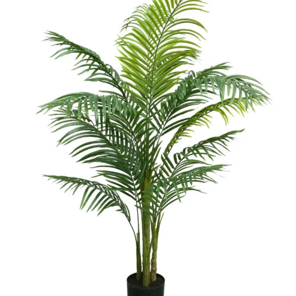 14-Frond KD Queen Palm