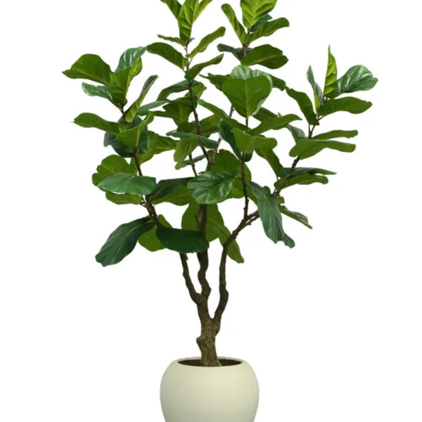 Artificial big-leaf ficus tree