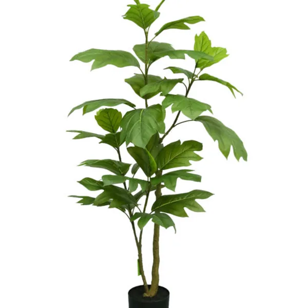 Artocarpus Altilis