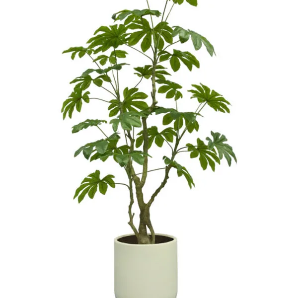Bread Tree