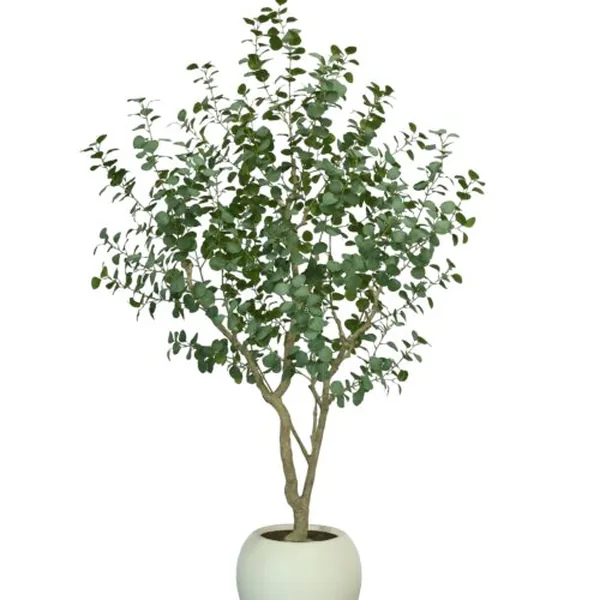 LED Eucalyptus