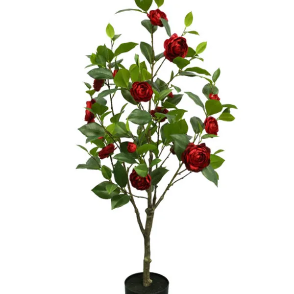 Camellia & Magnolia