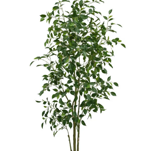 Synthetic Mini Ficus