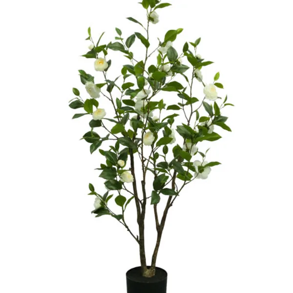 White Camellia II