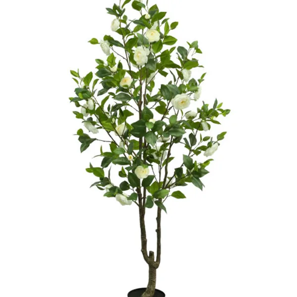 White Camellia III