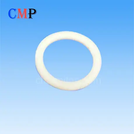 325009149 325009150 O-ring seal for agie charmillesm edm machine
