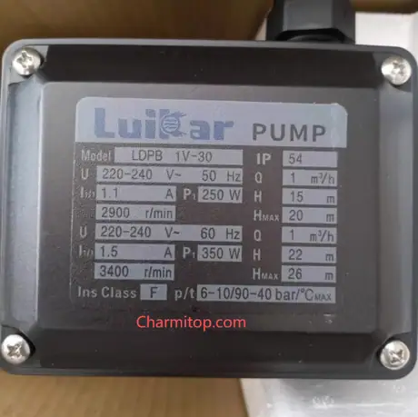 LDPB 1V-30 220V Middle wire water pump high pressure water pump