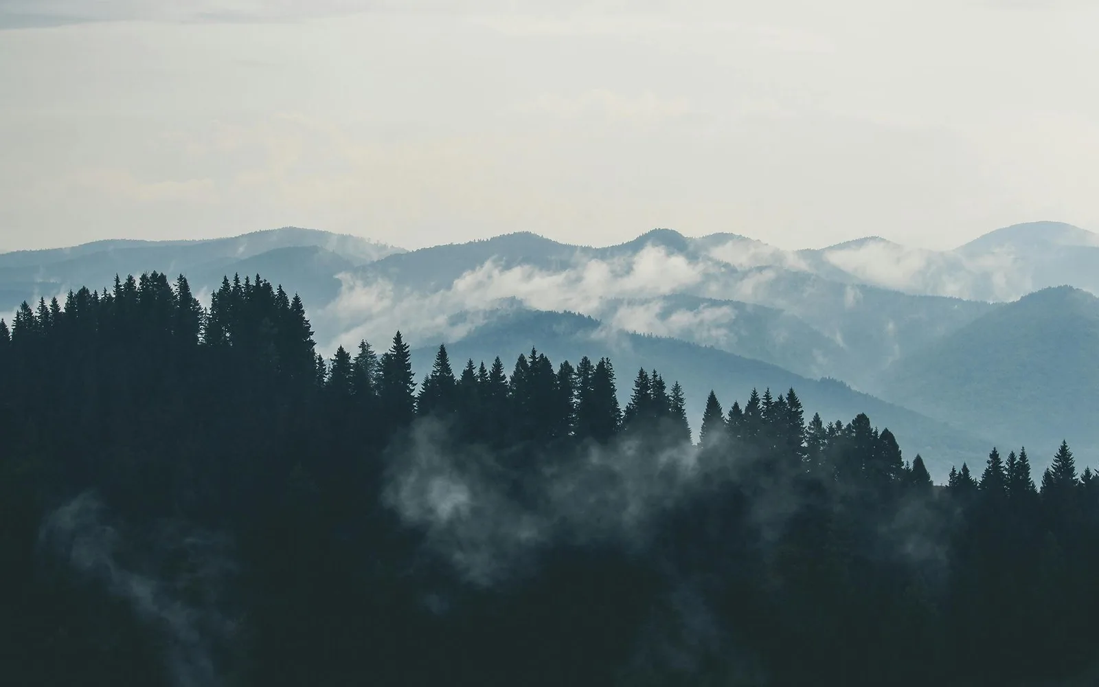 Forest and river landscape reflecting CHEMSUM's environmental protection concept