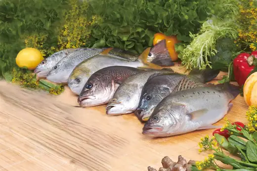 What Is Red Snapper and How Is It Farmed