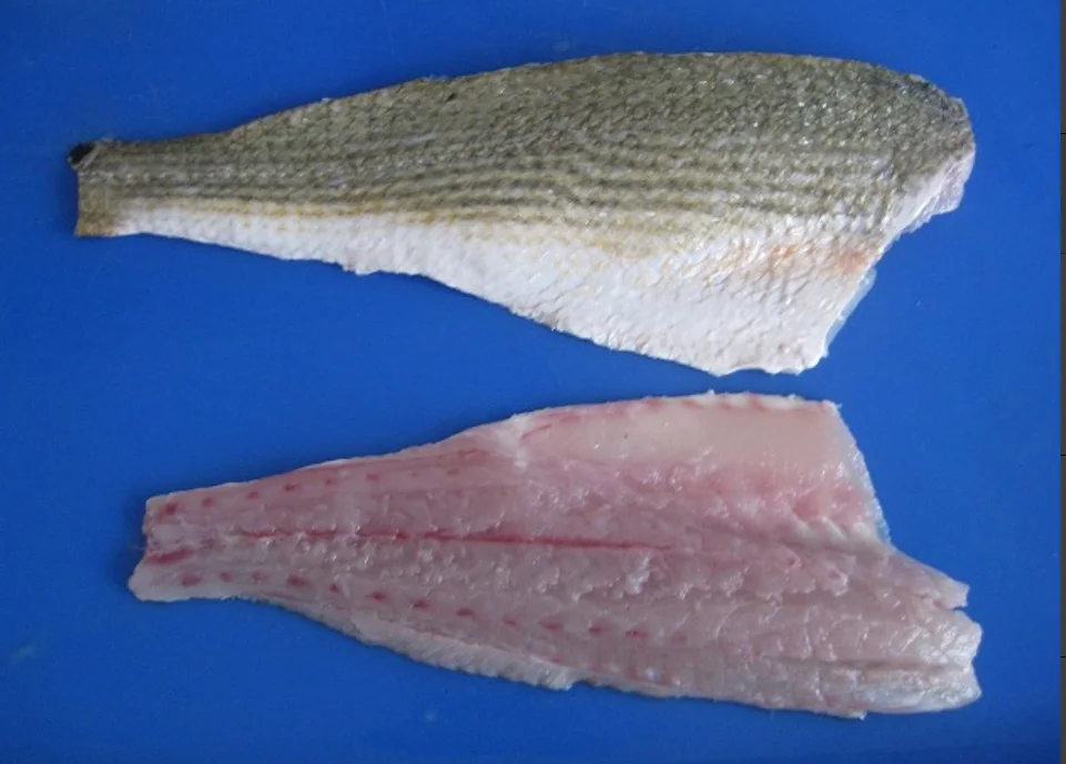 Frozen red drum fish Sciaenops ocellatus whole and filleted - view 2