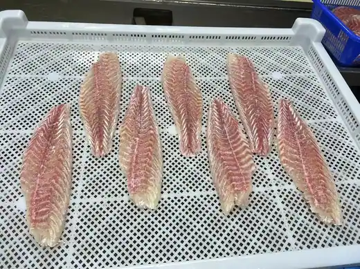 Frozen red drum fish Sciaenops ocellatus whole and filleted - view 3