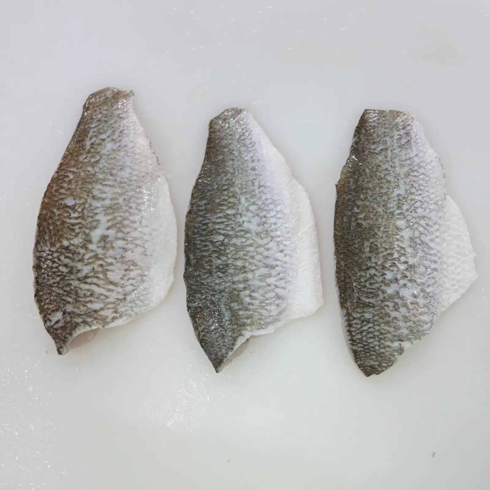 Frozen Barramundi Fillets Supply and Pricing From South China