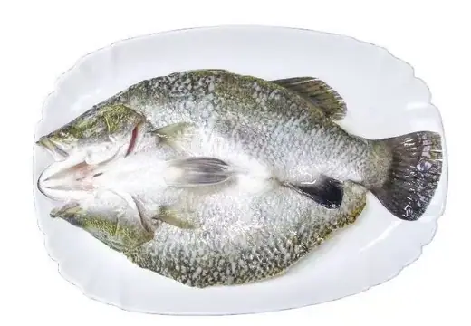 Frozen farm raised barramundi Lates calcarifer whole and filleted - view 7