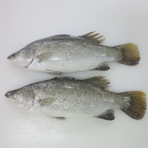 Frozen farm raised barramundi Lates calcarifer whole and filleted - view 2