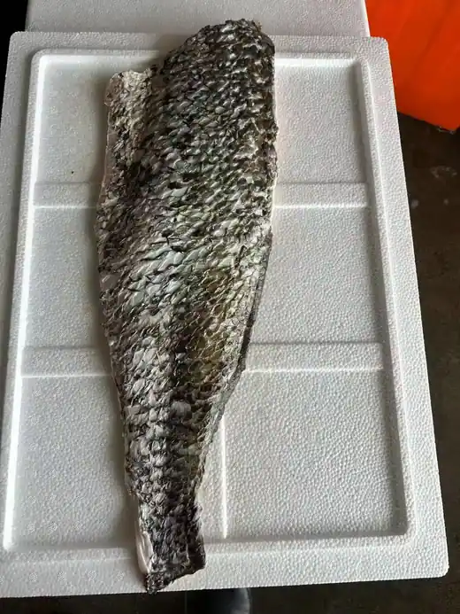Frozen brown croaker produced at the CHF Seafood plant in Zhuhai China