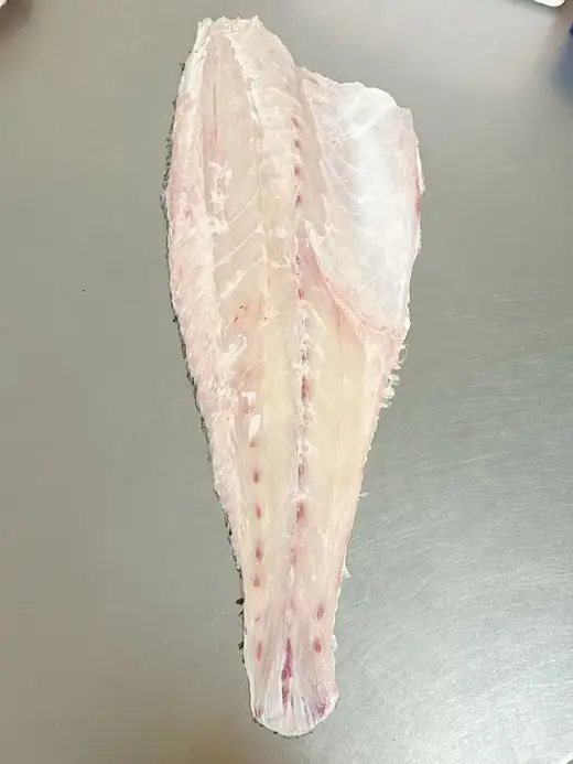 Frozen brown croaker whole fish and large format fillet - view 5