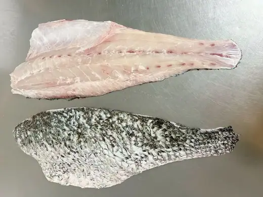 Frozen brown croaker whole fish and large format fillet - view 1