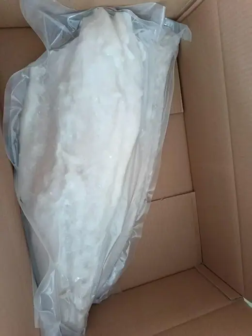 Frozen brown croaker whole fish and large format fillet - view 3