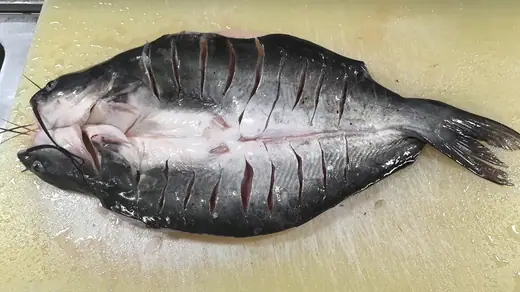 Frozen channel catfish whole round and fillet - view 1