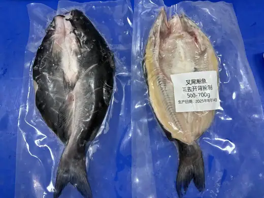 Frozen channel catfish whole round and fillet - view 3
