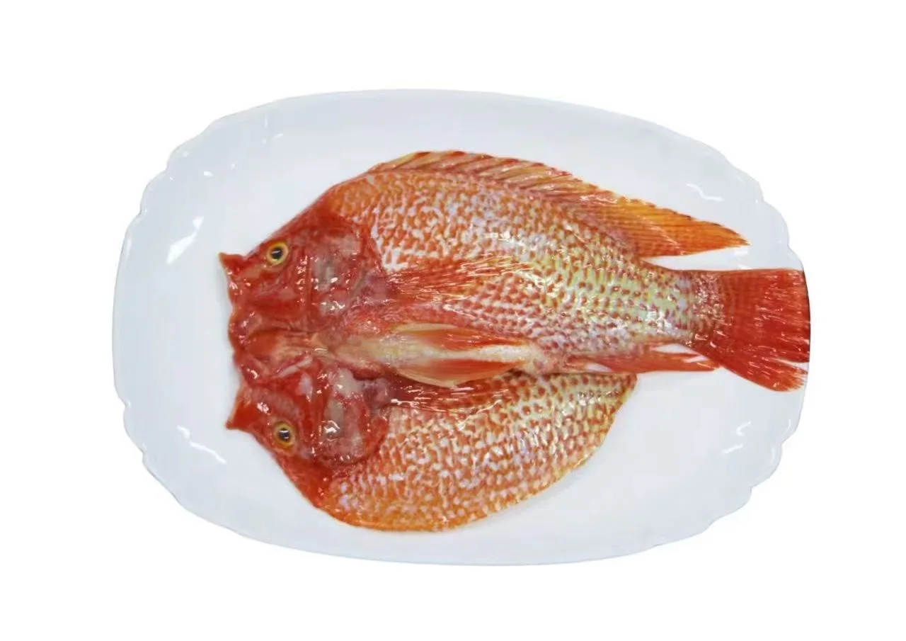 Frozen red tilapia whole round and flower cut - view 1