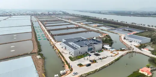 Aerial view of registered brackish water ponds supplying the plant