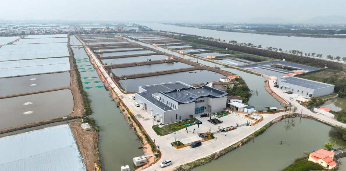 Building a Resilient Farm to Fork Seafood Supply Chain