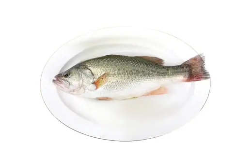 Frozen largemouth bass California bass whole round scaled and gutted - view 1