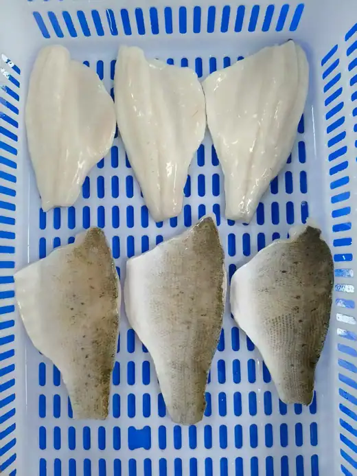 Boneless frozen seabass fillet skin on trimmed for export - view 1