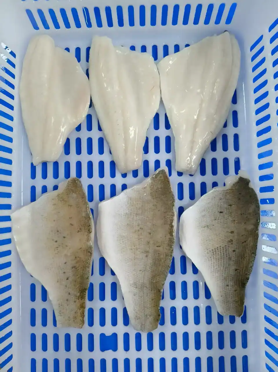 Boneless frozen seabass fillet skin on trimmed for export - view 1