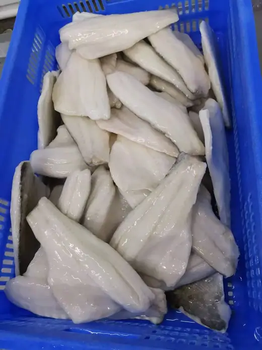 Boneless frozen seabass fillet skin on trimmed for export - view 5