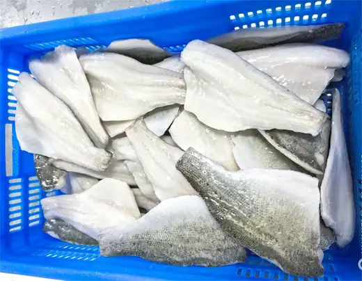 Frozen farm raised seabass Lateolabrax japonicus from Zhuhai China - view 5