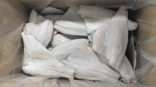 Frozen farm raised seabass Lateolabrax japonicus from Zhuhai China - view 6