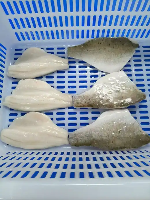 Frozen farm raised seabass Lateolabrax japonicus from Zhuhai China - view 7
