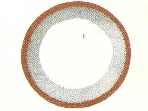 Brush Ring, Diameter 180mm