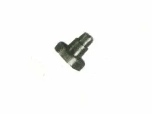 Rivet