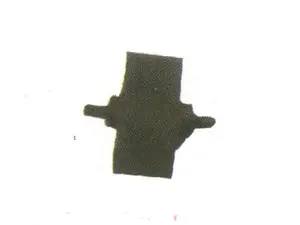 STAR Magnet, 20.4007