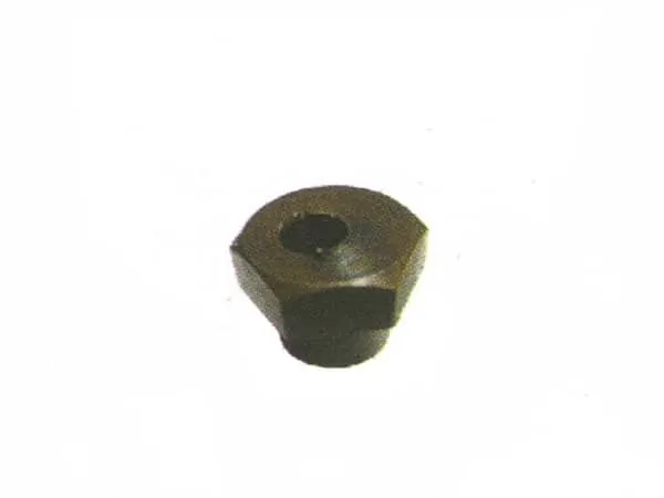 Temple plate Eccentric nut, EDH011B