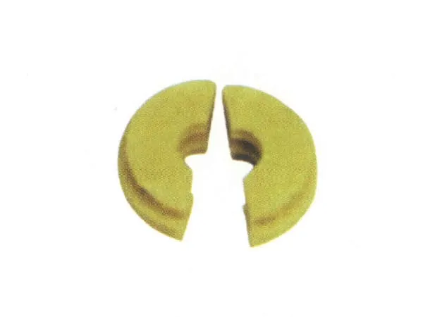 Worm, C9C1143