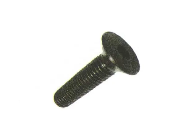 Hexagonal screw in flat head, VV17145
