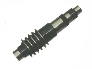TM Worm wheel