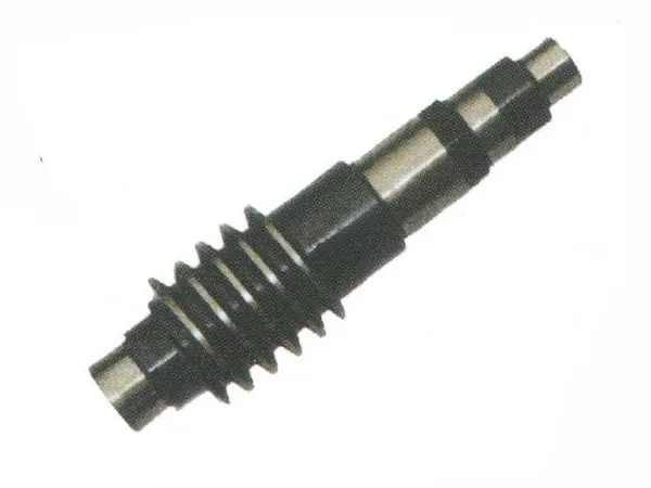 TM Worm wheel