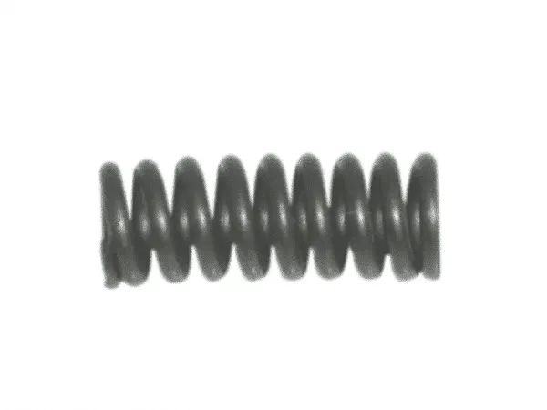CLUTH PRESSING SPRING, SULZER G6300