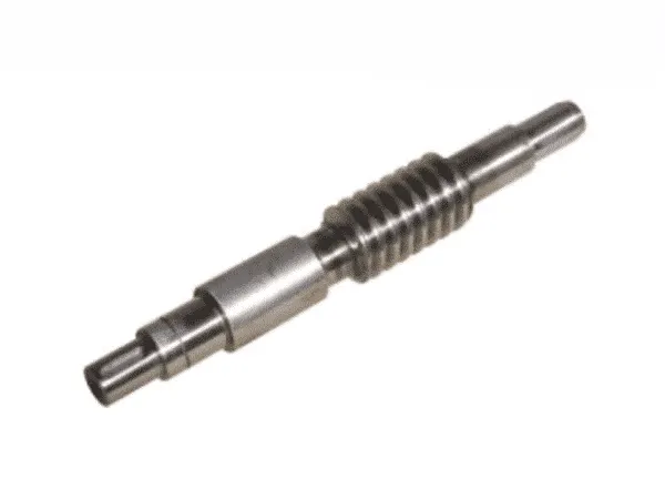 Reversing box worm， PNQ48576, FAST, 新龙