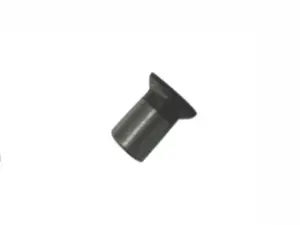 Fixed screw