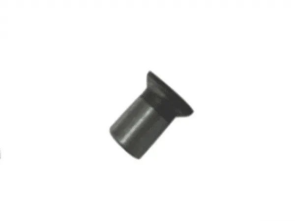 Fixed screw