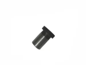 Fixed screw